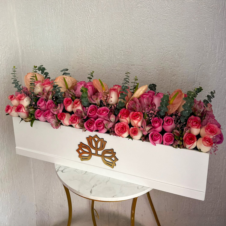  BLOOM ANTHURIUM LONG BOX